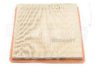 Borsehung B12809 Air Filter